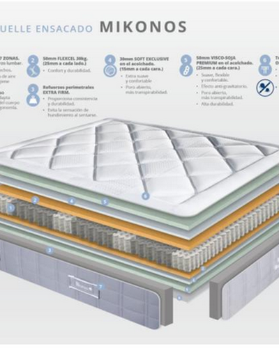 Raymoplex modelo Bodymemory